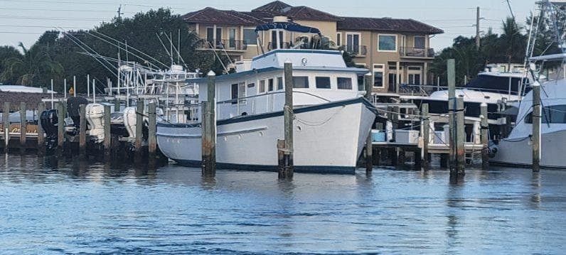 Marina Life's Dock Views