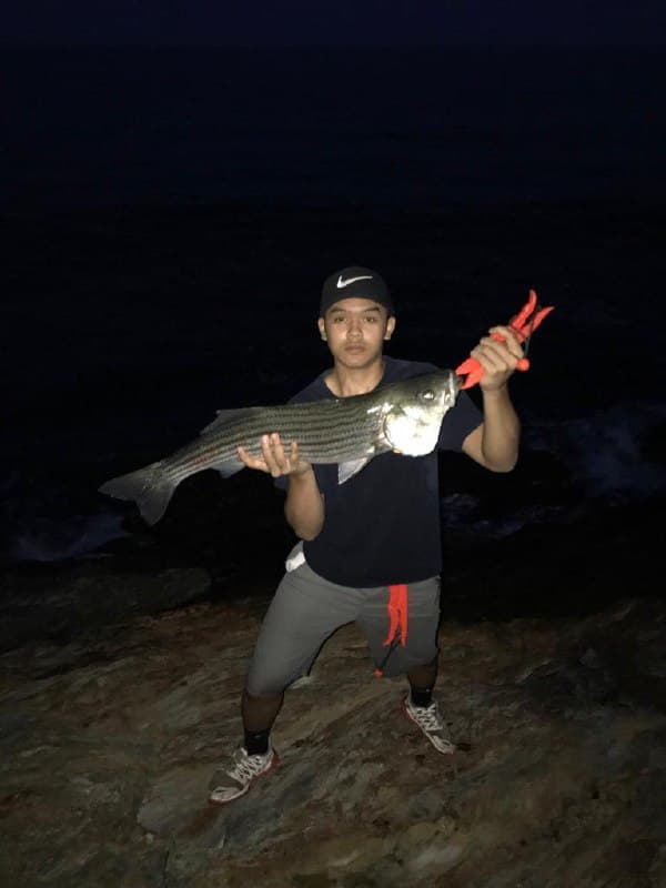 Nephew's Striped Bass